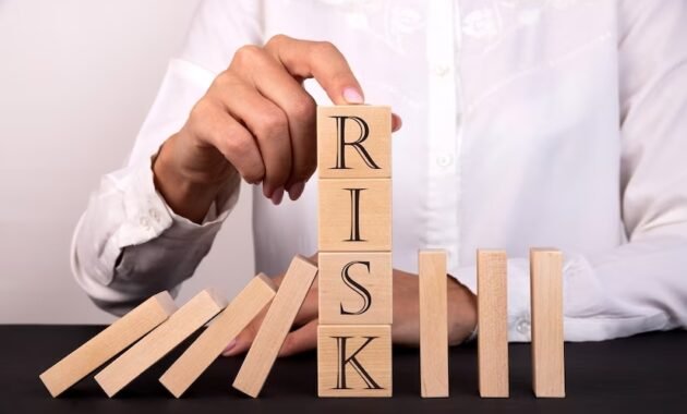 Risks And Contemplations ( Power of Equity Mortgage ) 