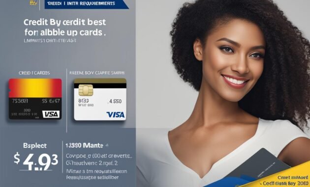 Credit Limit for Best Buy Credit Cards