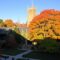 Cornell University